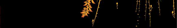 KONANYAKI